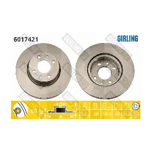 GIRLING 6017421