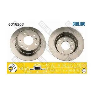 GIRLING 6016503