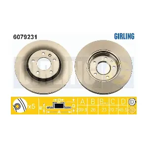GIRLING 6079231