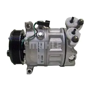 090595013310 BV PSH