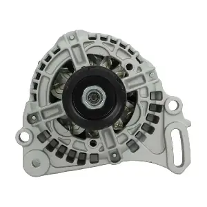 305561110010 BV PSH