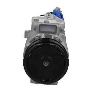 BV PSH 090305006260