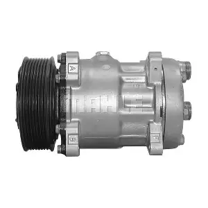 090625008310 BV PSH