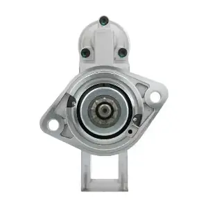 300008092010 BV PSH