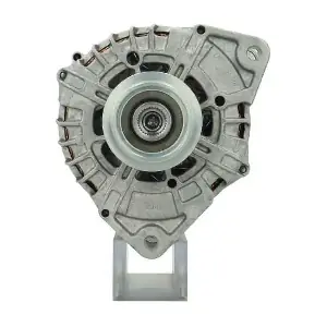 555900250500 BV PSH