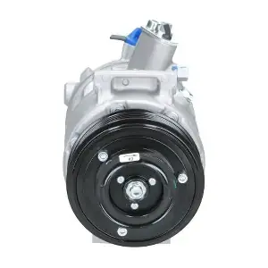 BV PSH 090.205.009.876