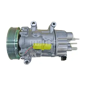 BV PSH 090225037310