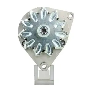 695.001.033.311 BV PSH