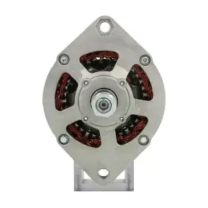 132696 CARRARO
