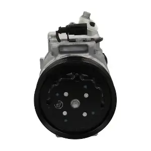 090.485.001.260 BV PSH