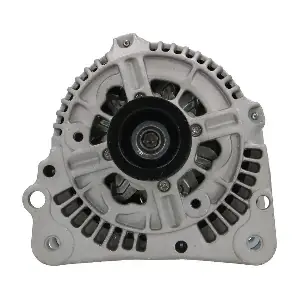 305503090010 BV PSH