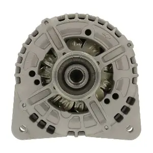 305.597.180.010 BV PSH