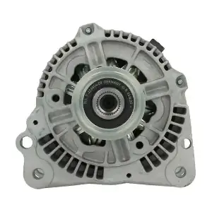 305506090010 BV PSH
