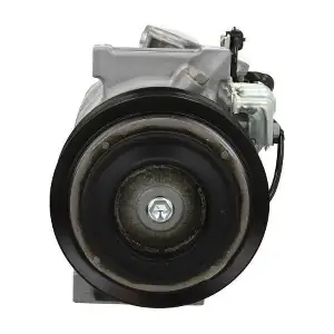090.165.001.261 BV PSH