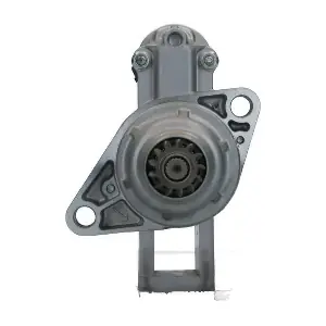 300943132261 BV PSH