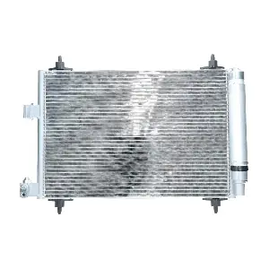 090.221.006.000 BV PSH