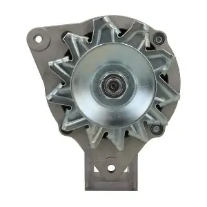 BV PSH 595004065311