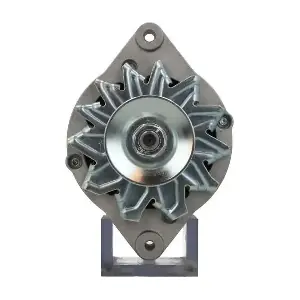 BV PSH 135.008.065.313