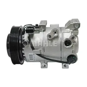090.255.003.310 BV PSH