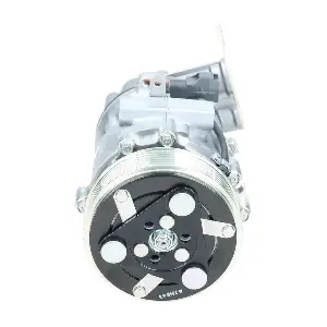 BV PSH 090105014905