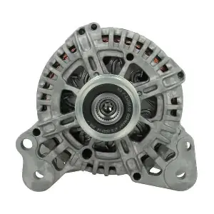 305591110500 BV PSH