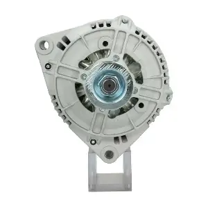 555.521.115.010 BV PSH