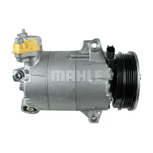 090595043310 BV PSH