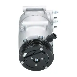 090.595.009.020 BV PSH
