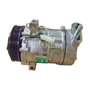 090475003310 BV PSH