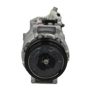 090.555.003.262 BV PSH