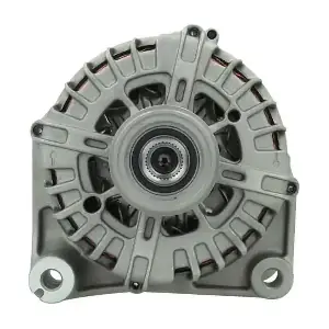 215.567.220.004 BV PSH