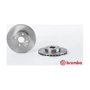 24631 AP