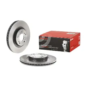 25309 V AP