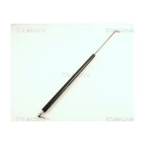 424021 TRISCAN