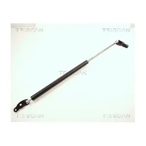 464026 TRISCAN