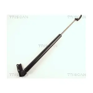 440013 TRISCAN