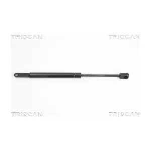 314011 TRISCAN