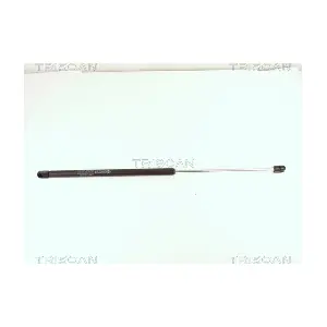 61326 TRISCAN