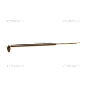 436030 TRISCAN