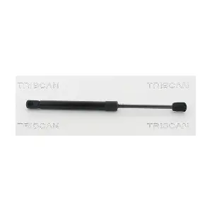 314023 TRISCAN