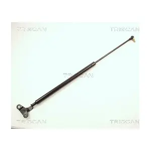 464023 TRISCAN
