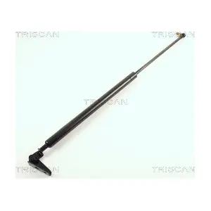 436006 TRISCAN