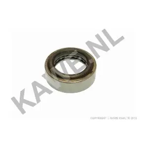 9506 KAWE