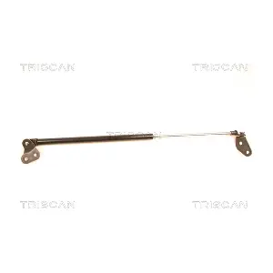 436028 TRISCAN