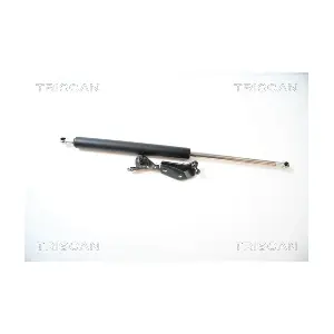 424016 TRISCAN