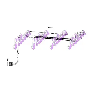 H7797 KAWE