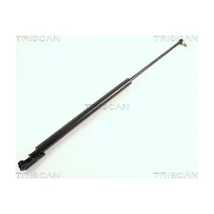 436007 TRISCAN