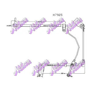 H7925 KAWE