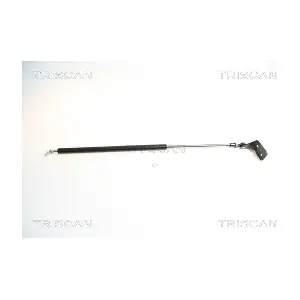 462004 TRISCAN