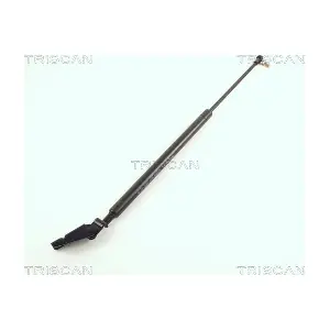 436002 TRISCAN